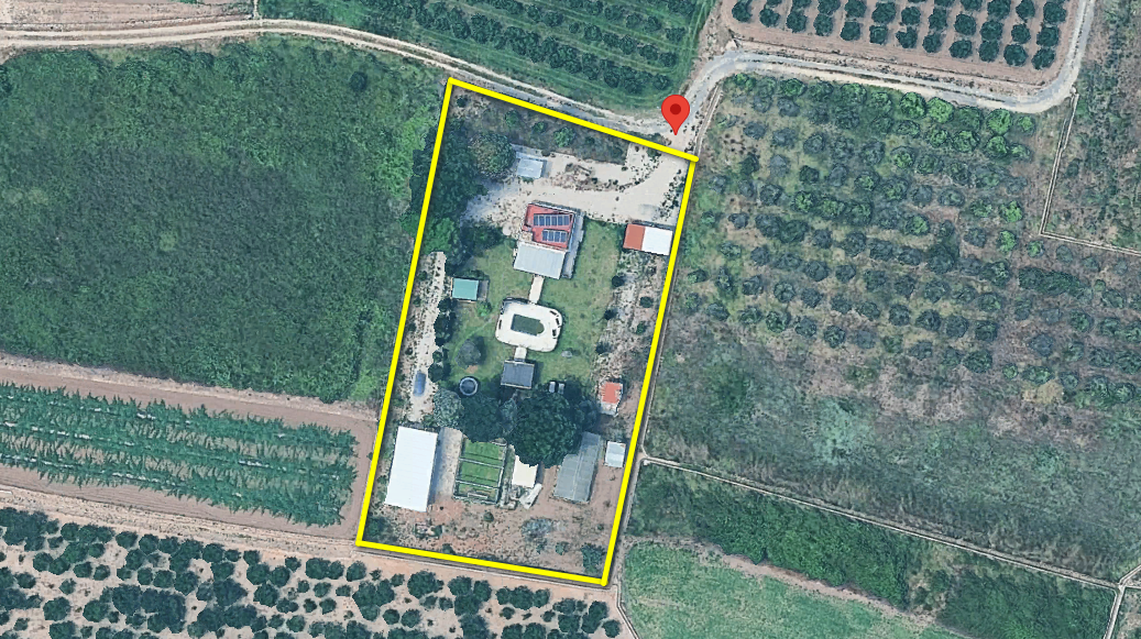Venta Finca Sollana Piscina — Foto 14
