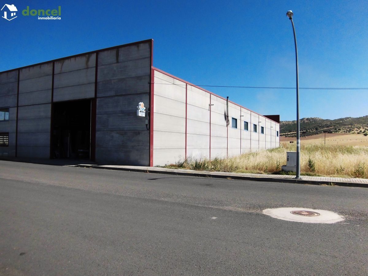 160709/2083802.- Nave en Pgno. Industrial de Picón/Ciudad Real, con todas las dotaciones, a escasos minutos de la estación AVE de C. Real y con acceso con buena red de carreteras. Tiene una superficie — Foto 1