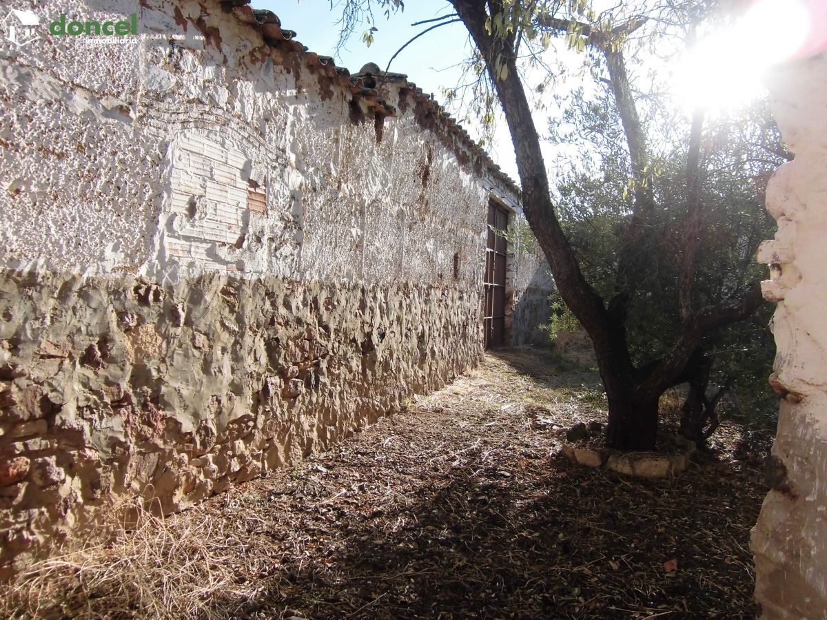 201007/2542244.- Inmobiliaria Doncel, vende, parcela de 351 metros cuadrados sobre la que se encuentra construida una CASA EN ALCOLEA DE CALATRAVA/Ciudad Real, se encuentra cercano a comercios, cercan — Foto 10