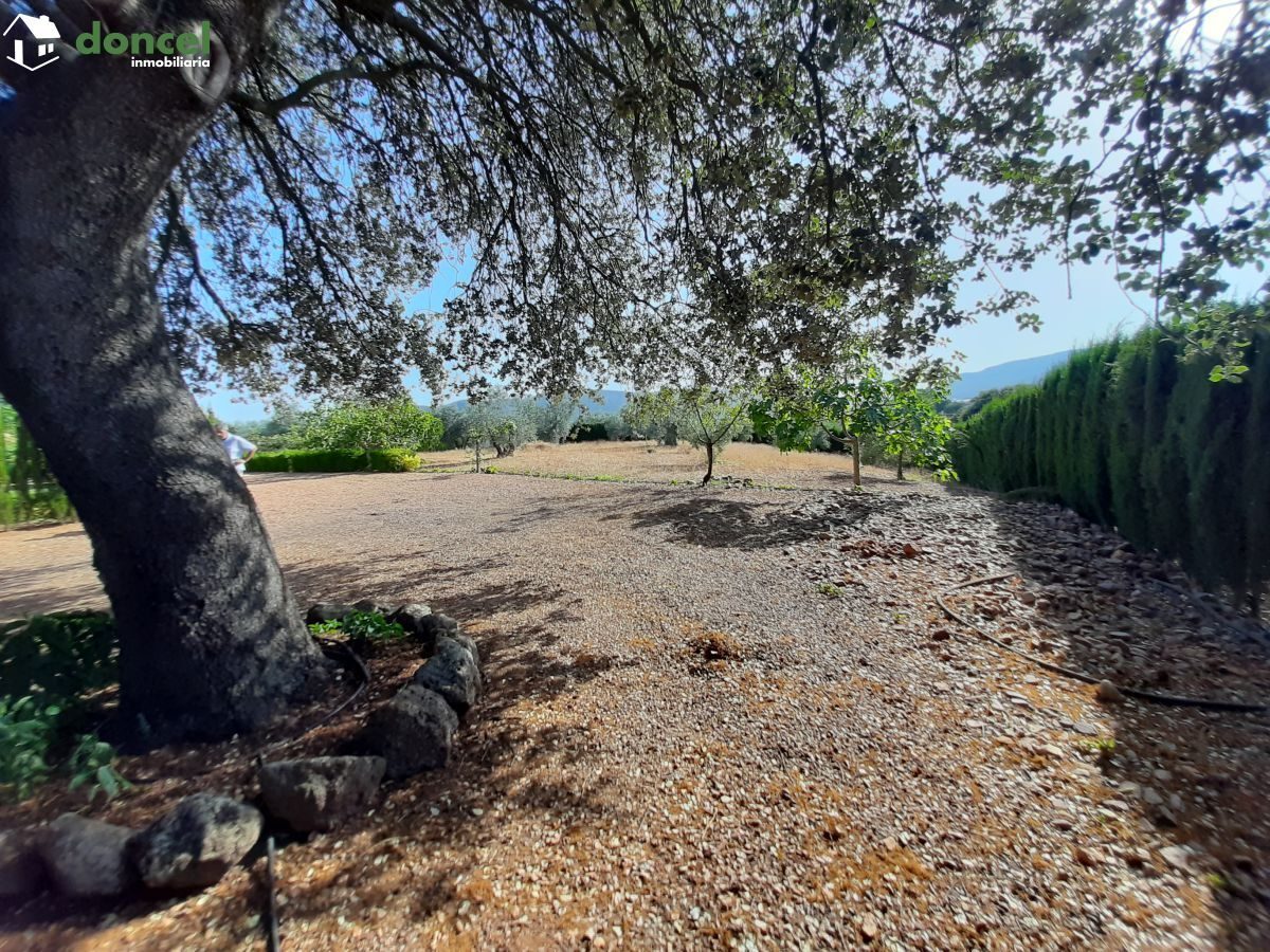Inmobiliaria Doncel, vende, CHALET EN PIEDRABUENA/CIUDAD REAL a veinticinco minutos de la capital, sobre una parcela de veinte mil metros cuadrados, distribuido en cuatro dormitorios y tres baños, dis — Foto 26