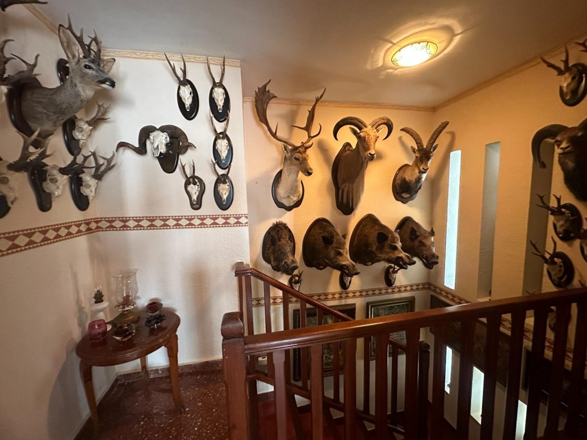 El Coto - Venta Nuda Propiedad - Pareada con Encanto de 3 Dormitorios con Patio de 40 m² y Sótano — Foto 21