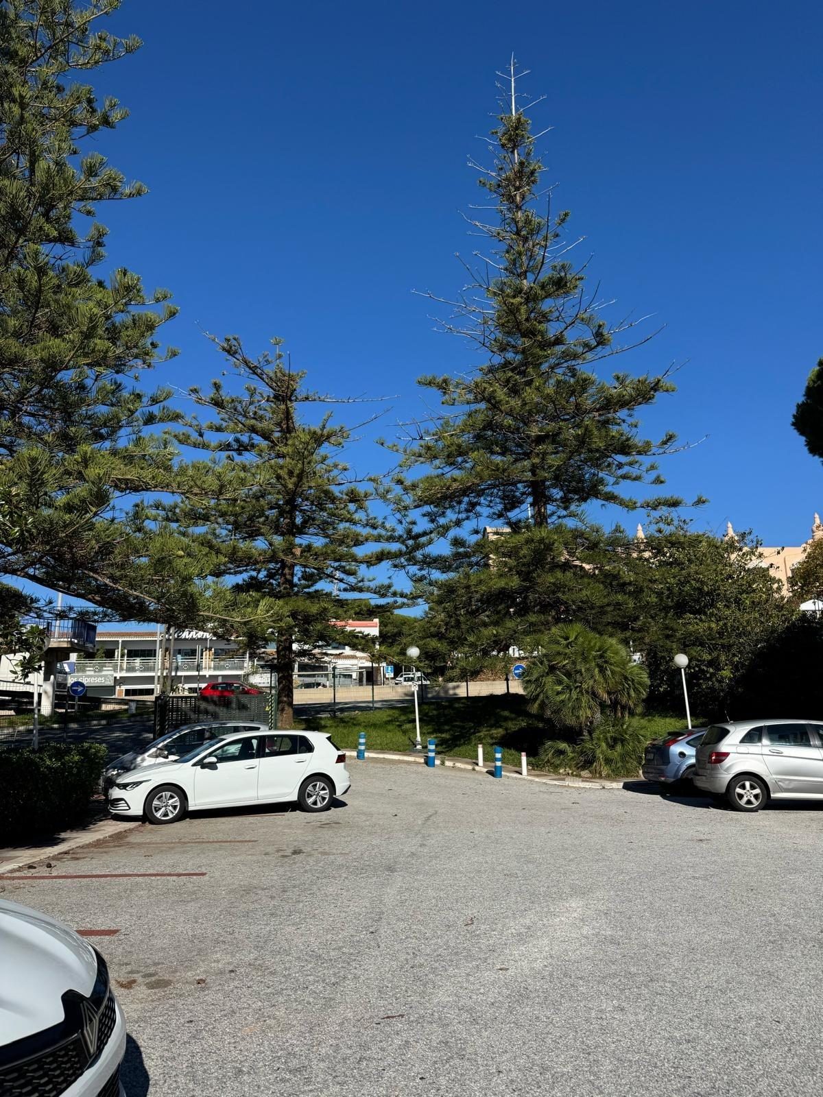 Calahonda 1ª Línea - Piso, 1 Dormitorio, Terraza, 2 Piscinas y Jardín, Parking — Foto 16