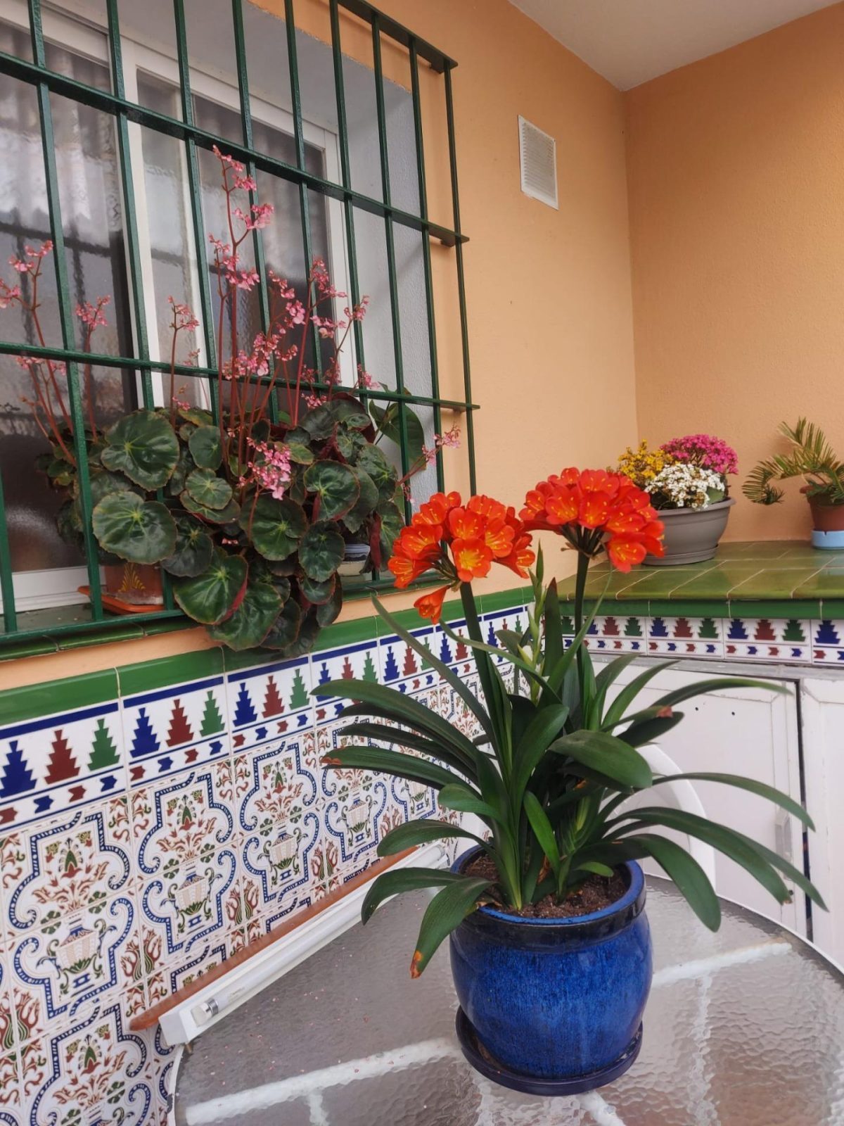 Adosado Fuengirola, Boliches, Recinto Ferial — Foto 10