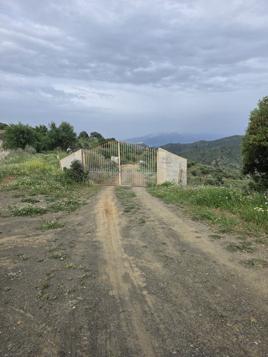 Venta Finca Andalucía Gran Terreno — Foto 2