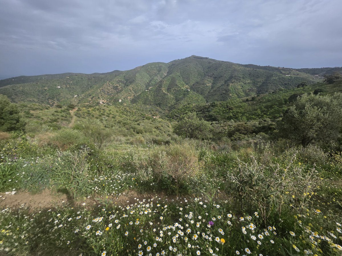 Venta Finca Andalucía Gran Terreno — Foto 4
