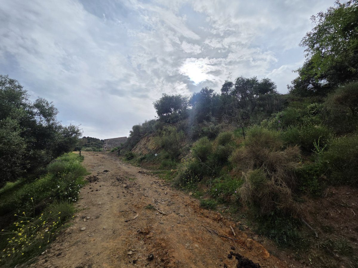 Venta Finca Andalucía Gran Terreno — Foto 6