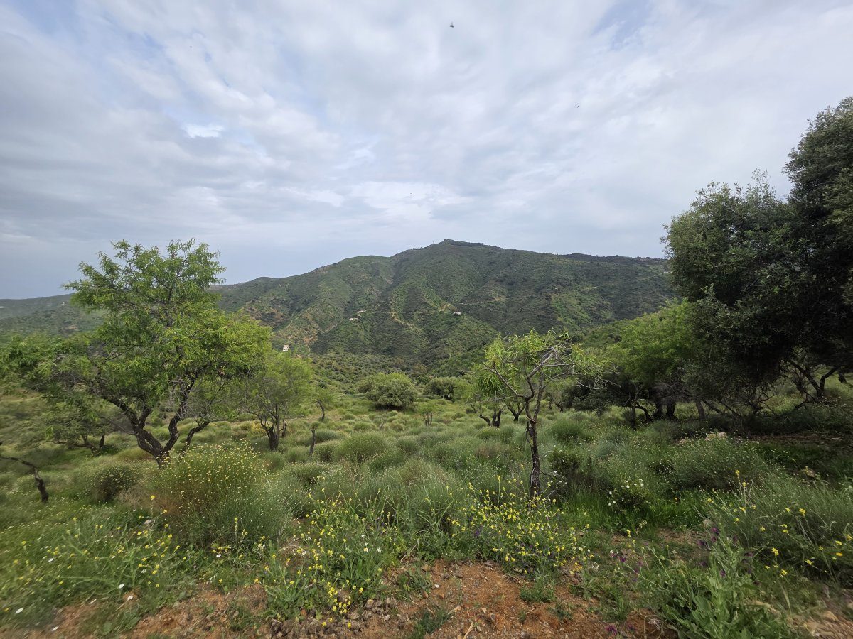 Venta Finca Andalucía Gran Terreno — Foto 7
