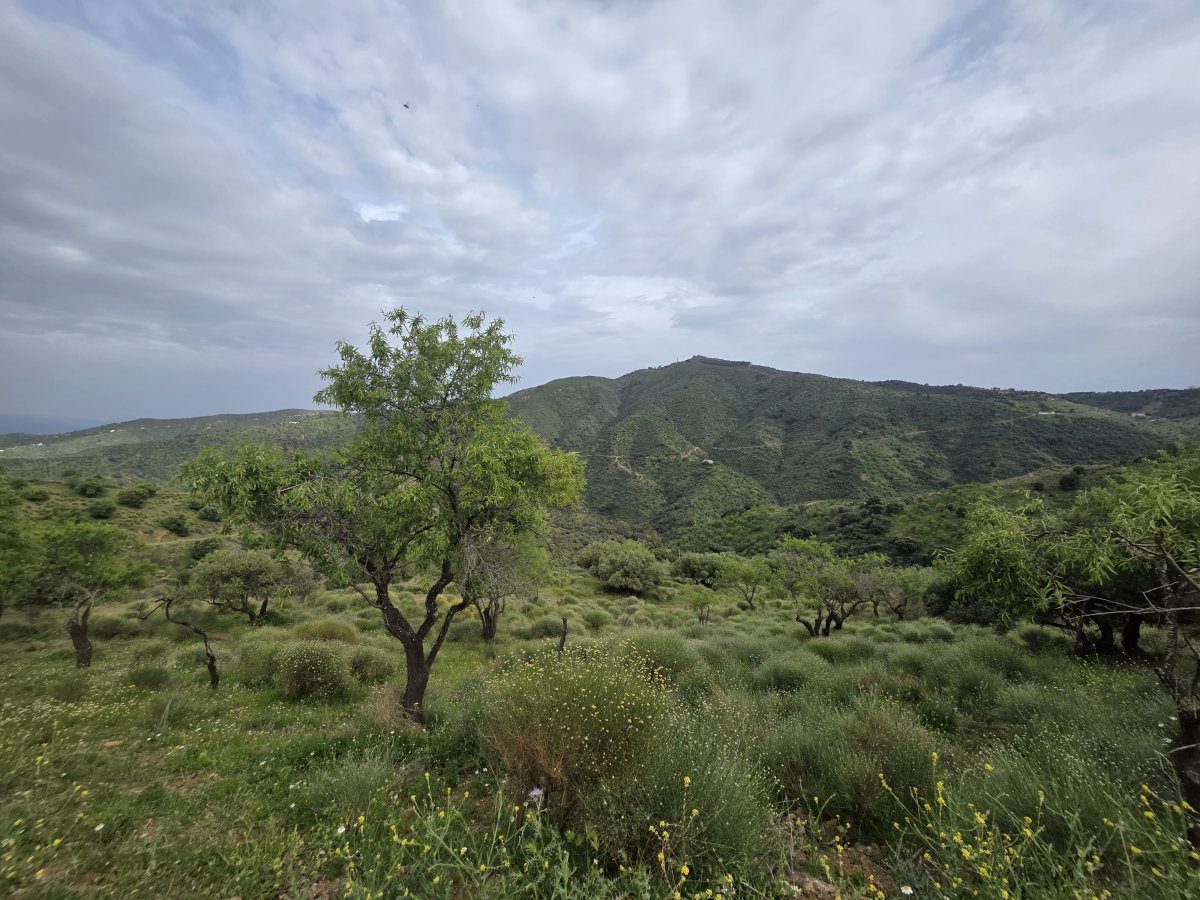 Venta Finca Andalucía Gran Terreno — Foto 9