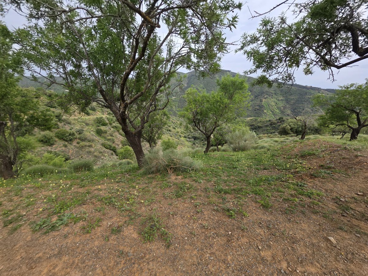 Venta Finca Andalucía Gran Terreno — Foto 12