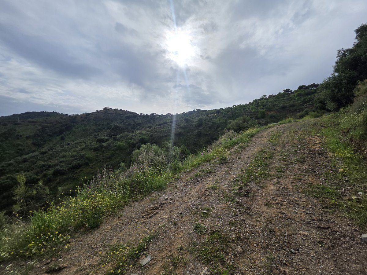 Venta Finca Andalucía Gran Terreno — Foto 16