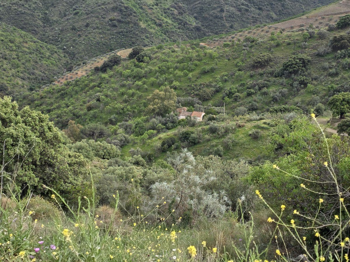 Venta Finca Andalucía Gran Terreno — Foto 18