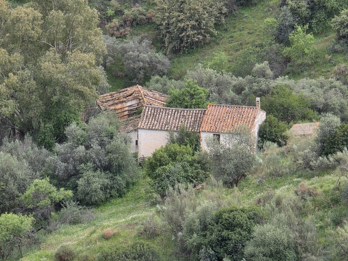 Venta Finca Andalucía Gran Terreno — Foto 20