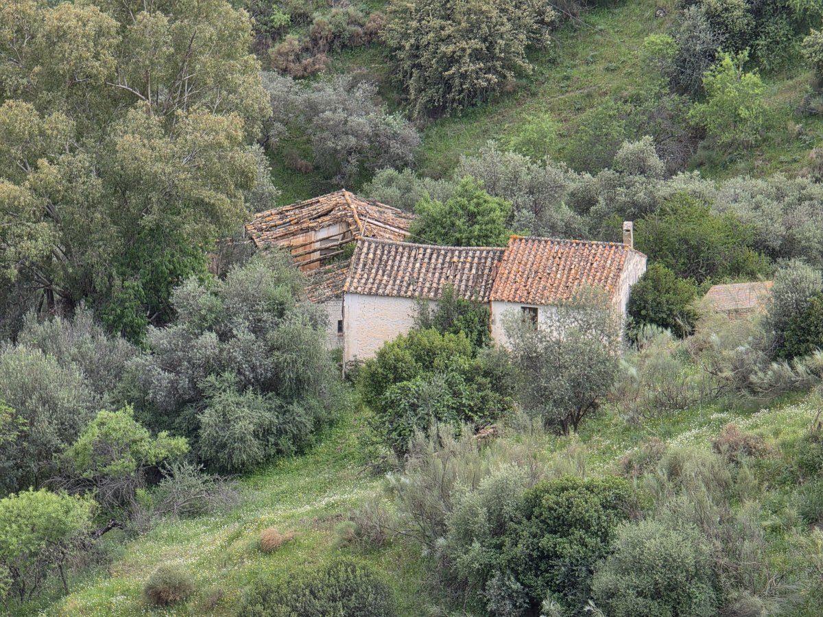 Venta Finca Andalucía Gran Terreno — Foto 21
