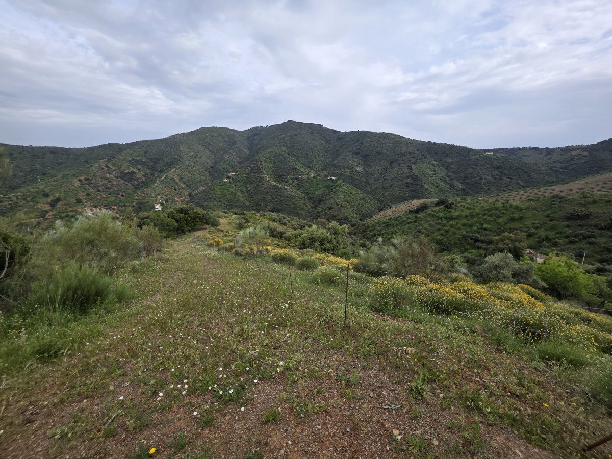 Venta Finca Andalucía Gran Terreno — Foto 22