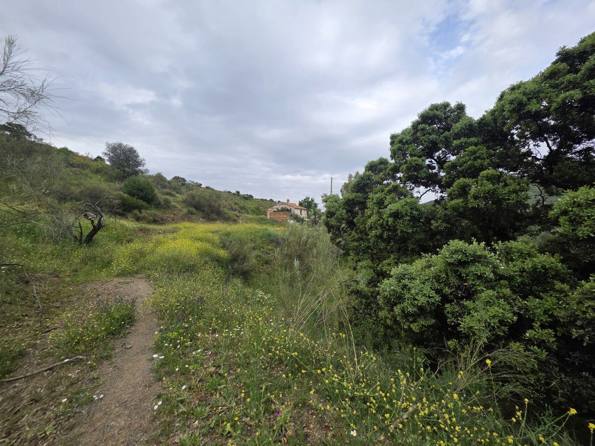 Venta Finca Andalucía Gran Terreno — Foto 27