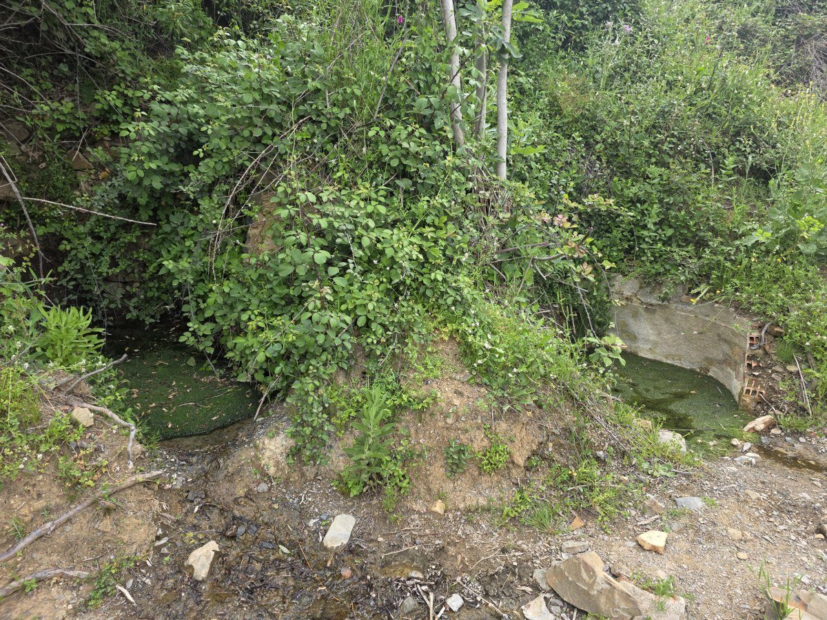 Venta Finca Andalucía Gran Terreno — Foto 28