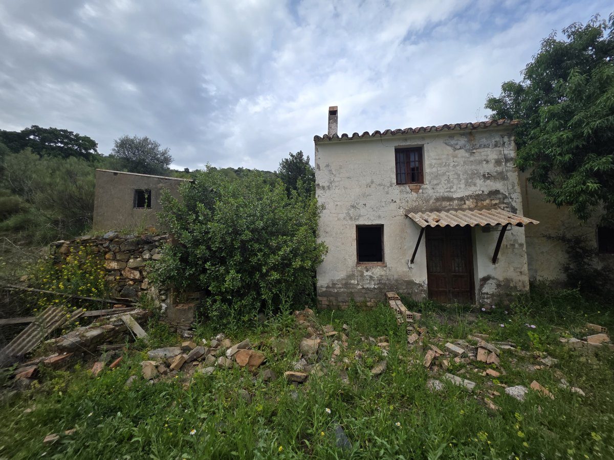 Venta Finca Andalucía Gran Terreno — Foto 30