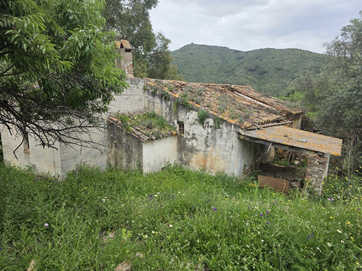 Venta Finca Andalucía Gran Terreno — Foto 36