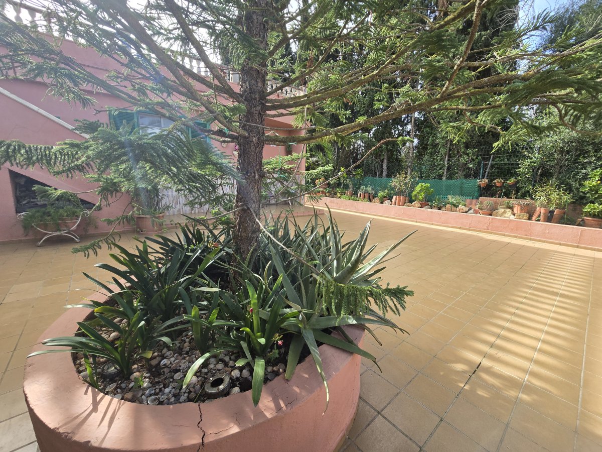 Chalet en venta en Marratxí - Amplia parcela y jardín — Foto 24