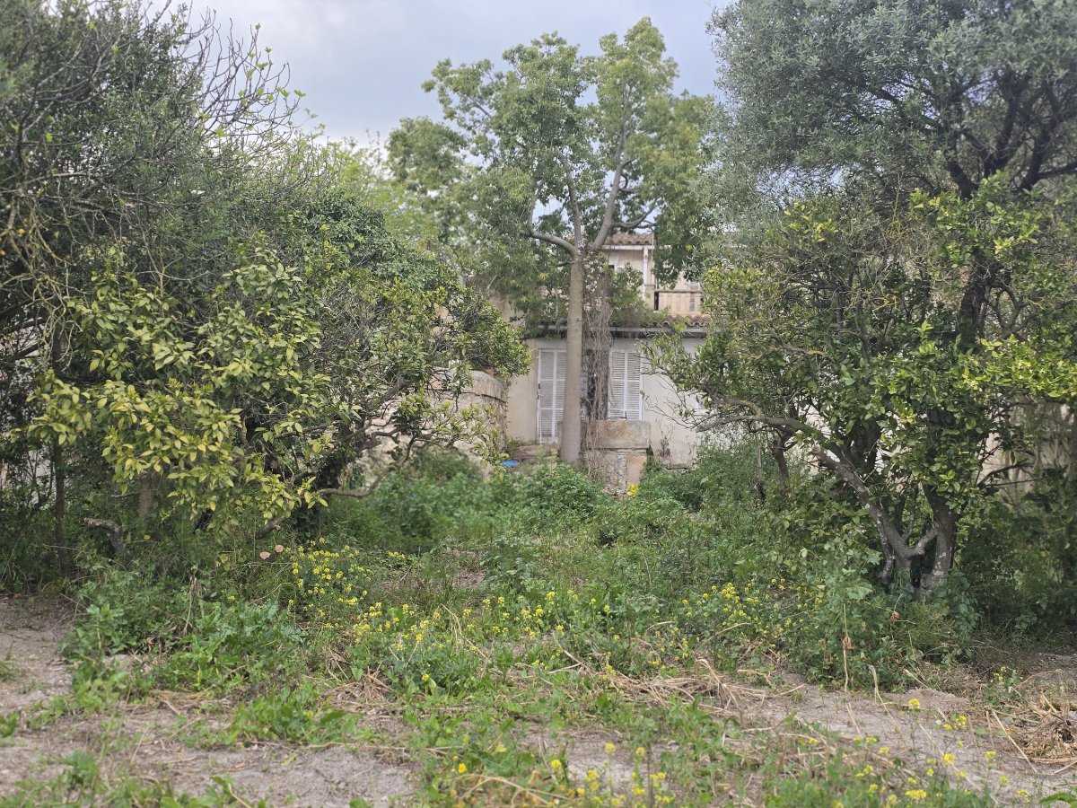Venta Casa Rural Montuiri Ideal para Reformar — Foto 24