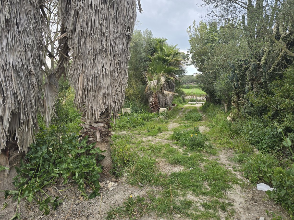 Venta Casa Rural Montuiri Ideal para Reformar — Foto 28