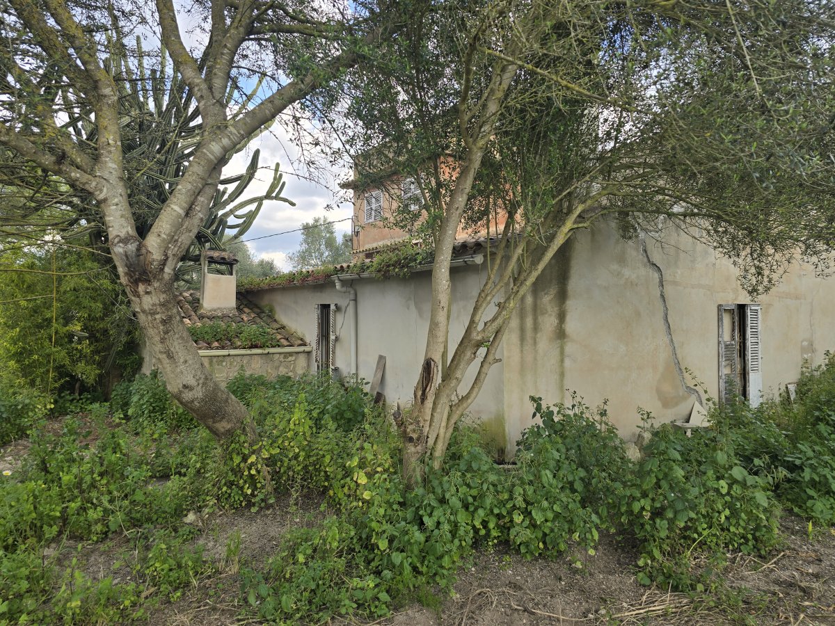 Venta Casa Rural Montuiri Ideal para Reformar — Foto 33