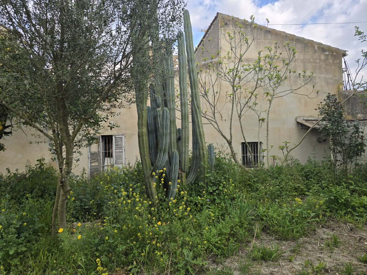 Venta Casa Rural Montuiri Ideal para Reformar — Foto 37
