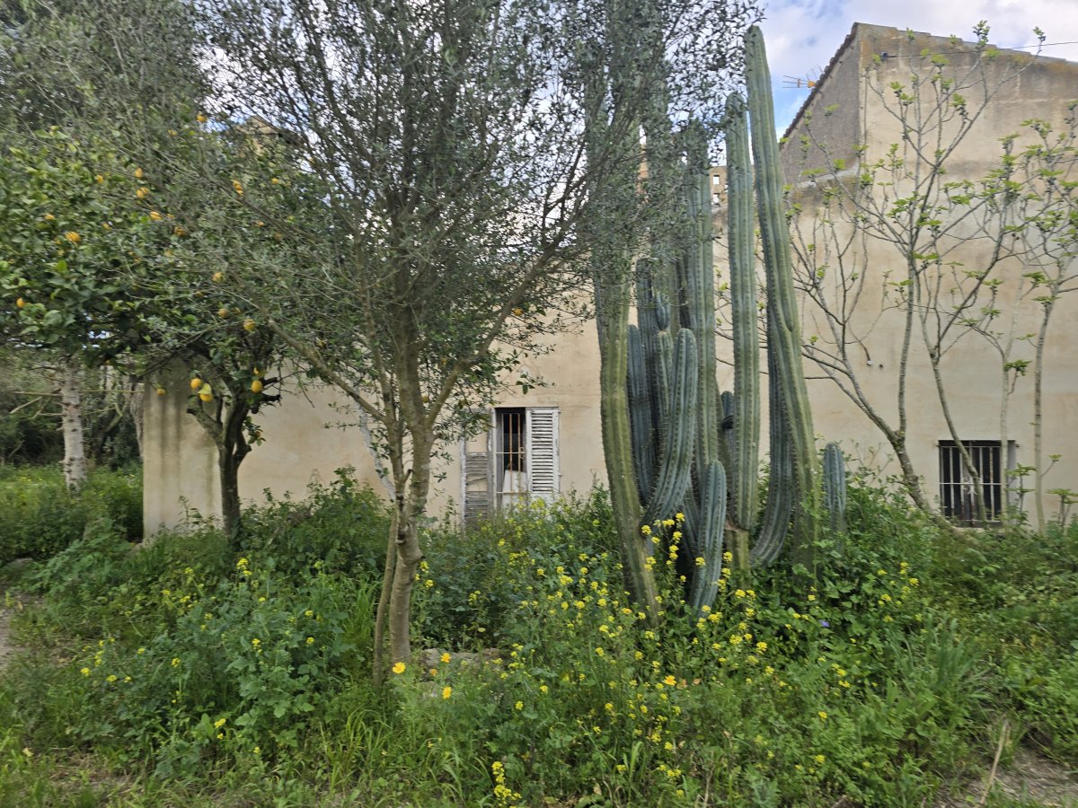 Venta Casa Rural Montuiri Ideal para Reformar — Foto 36