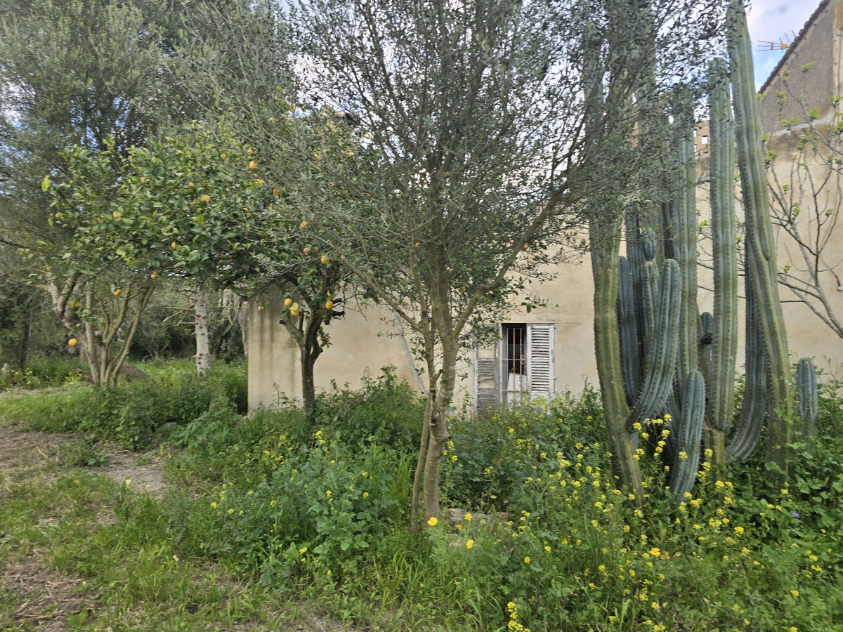 Venta Casa Rural Montuiri Ideal para Reformar — Foto 38