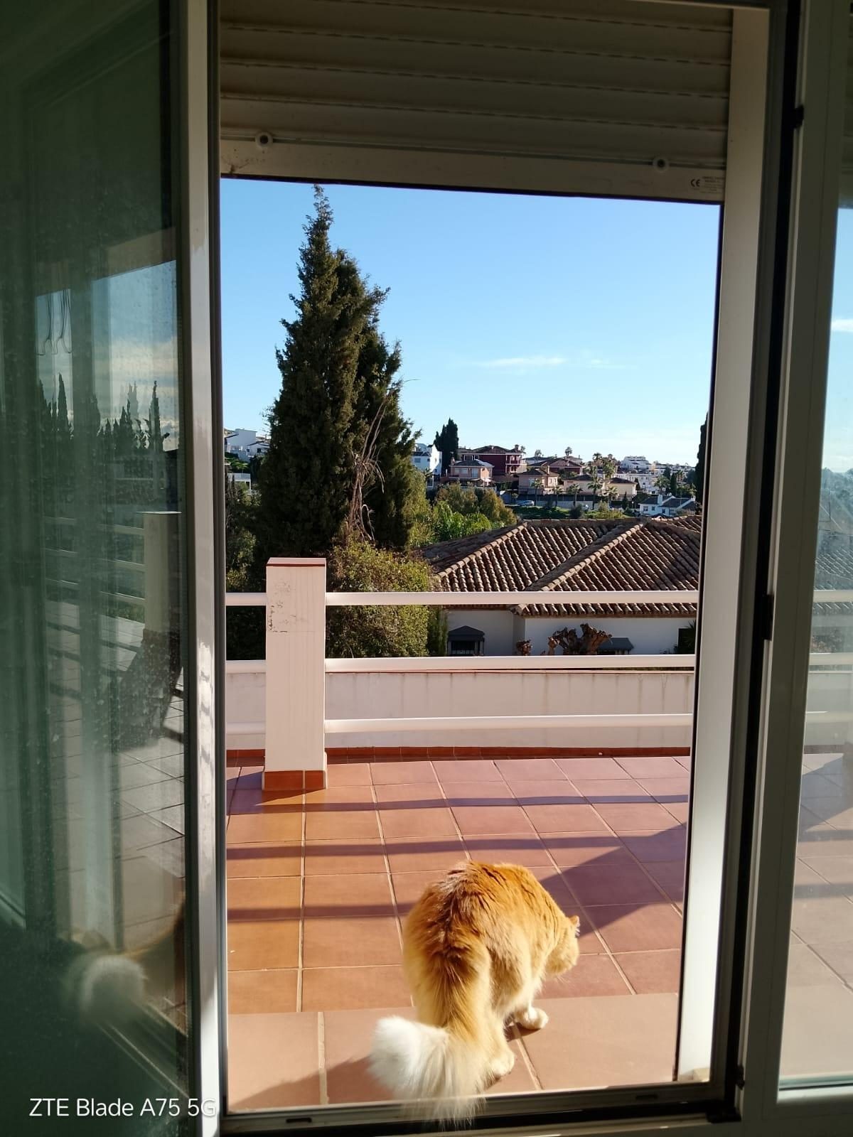 ¡Oportunidad única! 2 villas en la misma parcela – ¡ideal para inversión o familia grande! — Foto 9