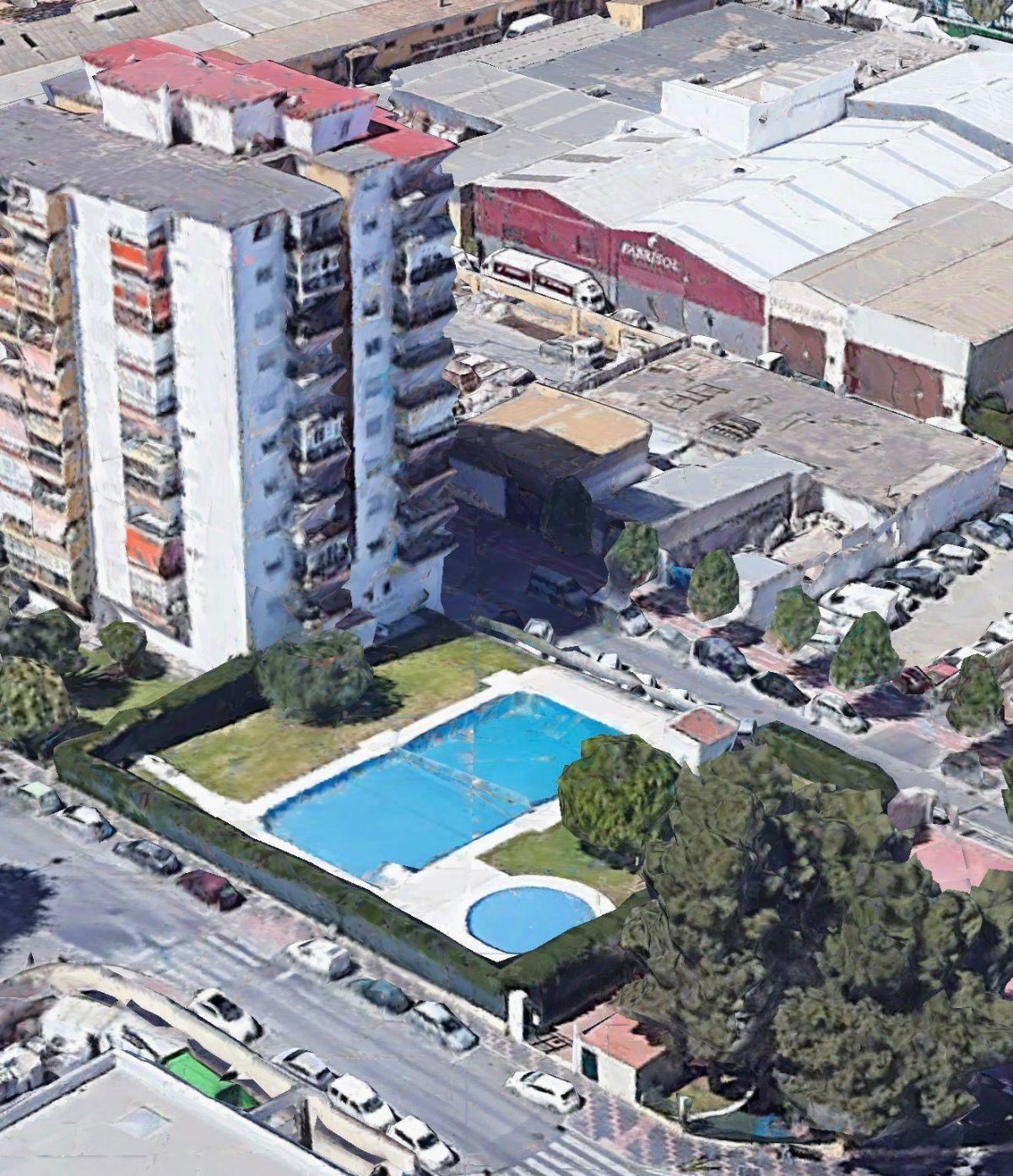 ALBERO — Foto 10