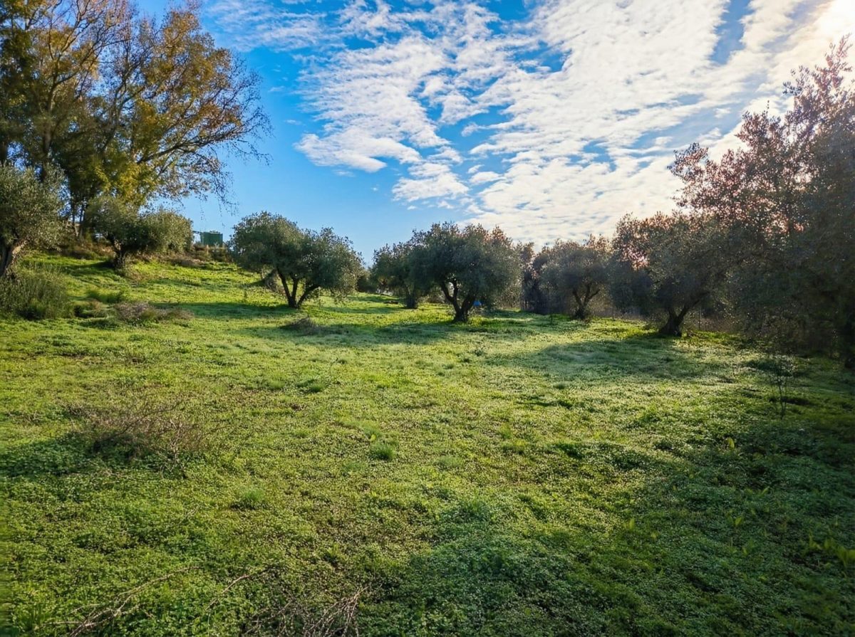 Chalet rústico legalizado con autosuficiencia energética en Cártama – naturaleza, independencia y conexión con Málaga — Foto 2