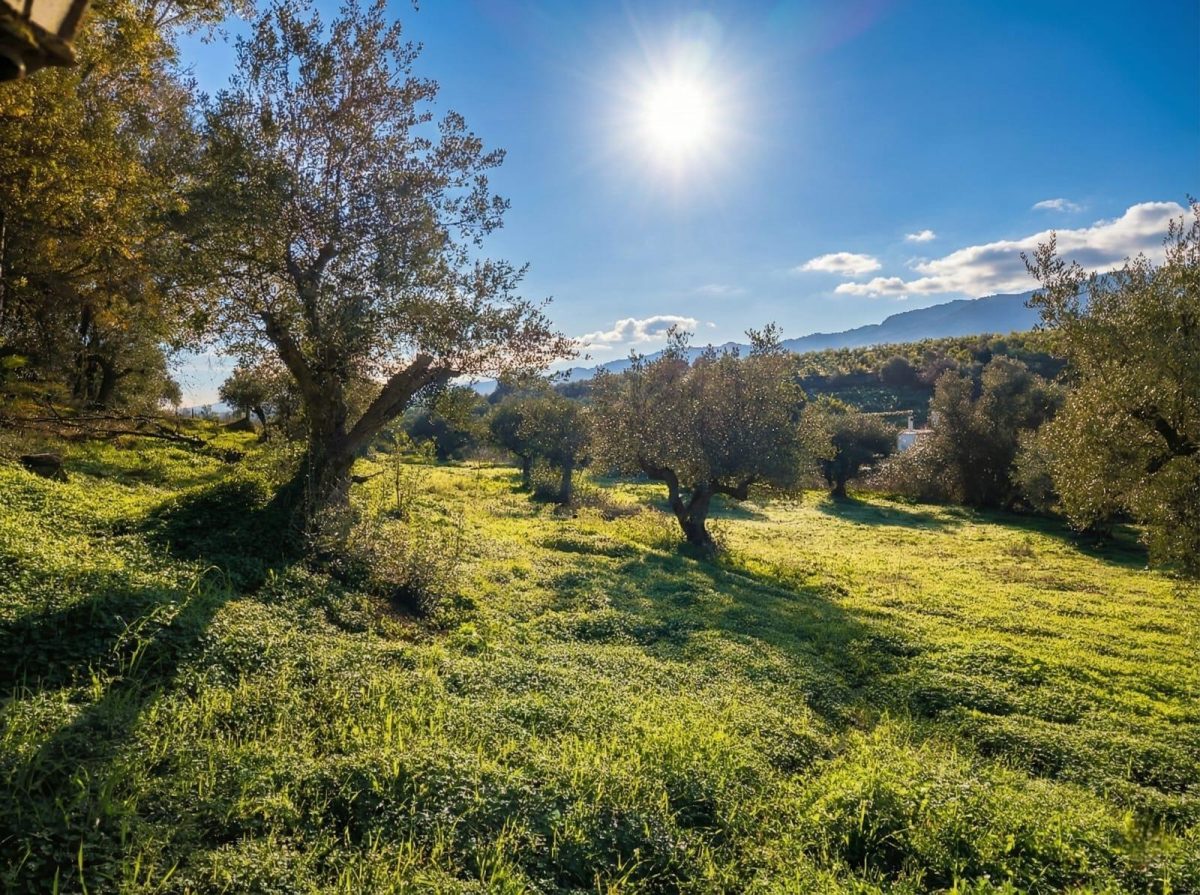 Chalet rústico legalizado con autosuficiencia energética en Cártama – naturaleza, independencia y conexión con Málaga — Foto 1