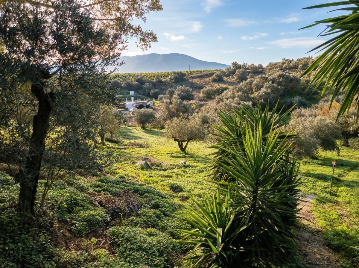 Chalet rústico legalizado con autosuficiencia energética en Cártama – naturaleza, independencia y conexión con Málaga — Foto 22
