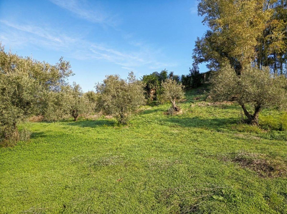 Chalet rústico legalizado con autosuficiencia energética en Cártama – naturaleza, independencia y conexión con Málaga — Foto 23