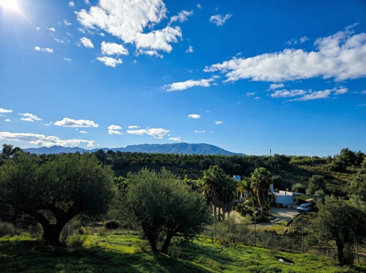 Chalet rústico legalizado con autosuficiencia energética en Cártama – naturaleza, independencia y conexión con Málaga — Foto 27