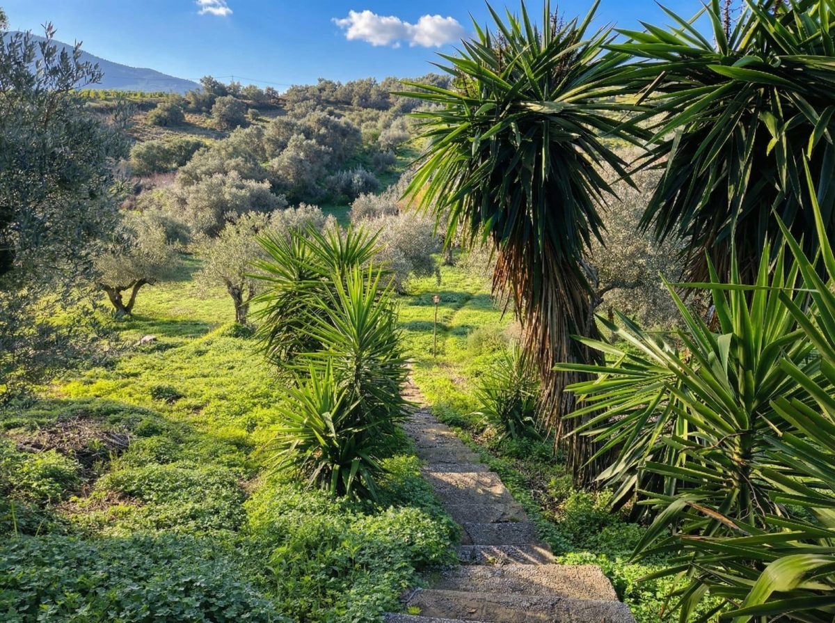 Chalet rústico legalizado con autosuficiencia energética en Cártama – naturaleza, independencia y conexión con Málaga — Foto 28