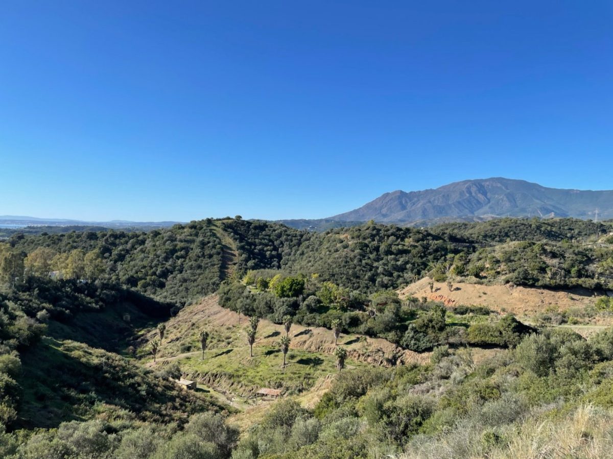 TERRENO URBANIZABLE DE  2.957M2 SITUADO EN LA MILLA DE ORO CON VISTAS AL MAR — Foto 7