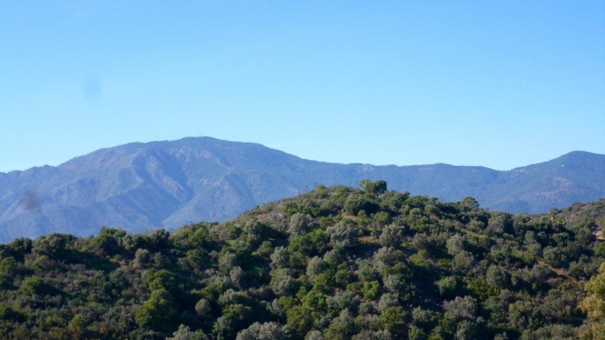 TERRENO URBANIZABLE DE  2.957M2 SITUADO EN LA MILLA DE ORO CON VISTAS AL MAR — Foto 8