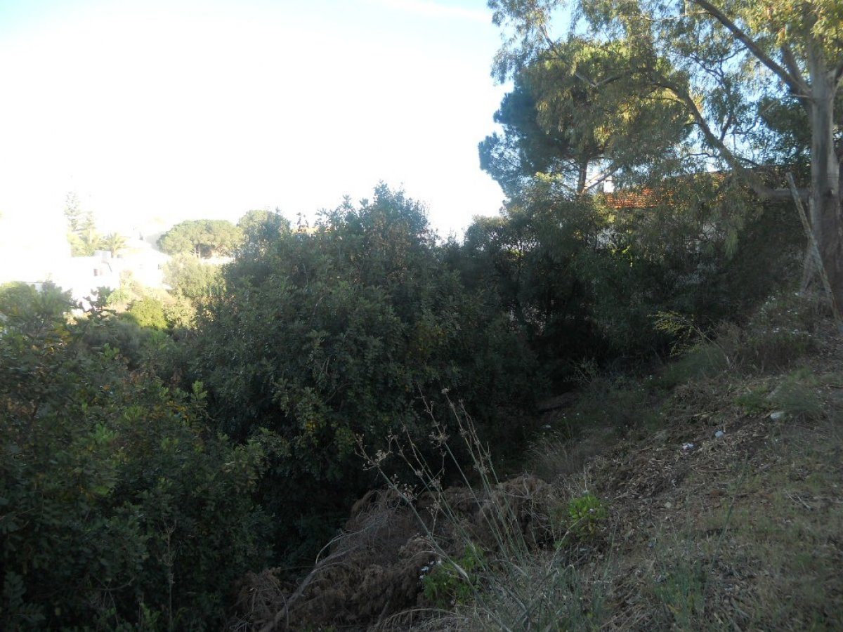 Parcela urbana para chalet independiente o casas pareadas — Foto 1