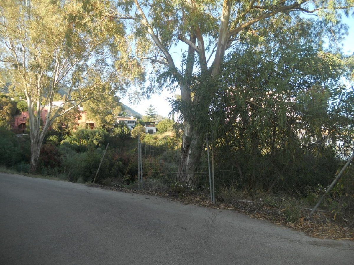 Parcela urbana para chalet independiente o casas pareadas — Foto 2
