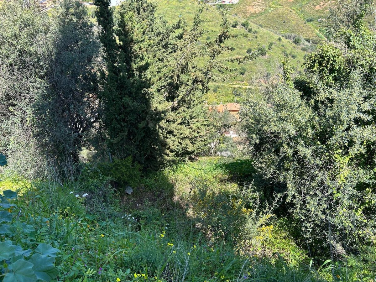 Parcela urbana a gran precio. Muy por debajo del precio de la zona. Para la construcción de chalet — Foto 7