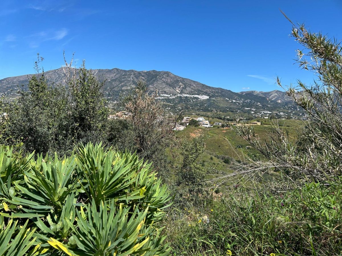 Parcela urbana a gran precio. Muy por debajo del precio de la zona. Para la construcción de chalet — Foto 9