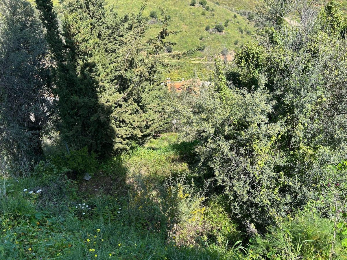 Parcela urbana a gran precio. Muy por debajo del precio de la zona. Para la construcción de chalet — Foto 10