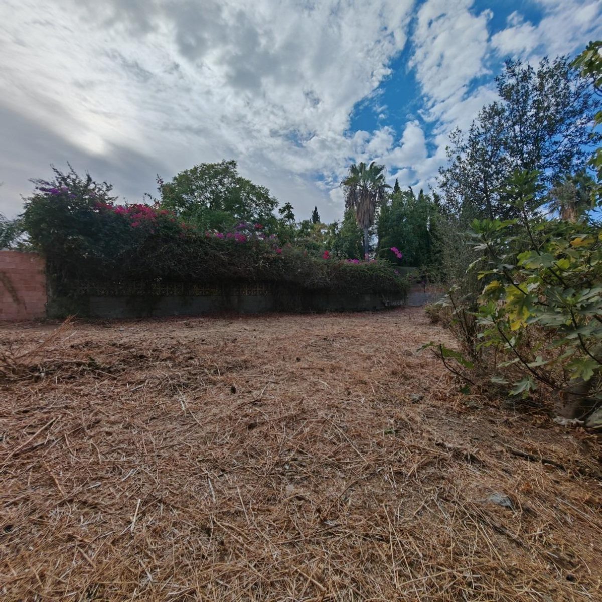 Terreno en Campo Mijas, con 811 m² metros de parcela, urbano — Foto 9