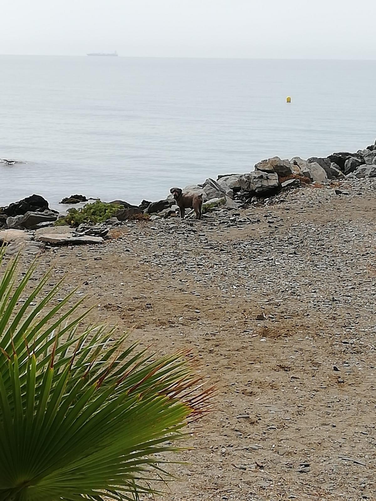 Piso en la mismísima playa en Torremuelle — Foto 15