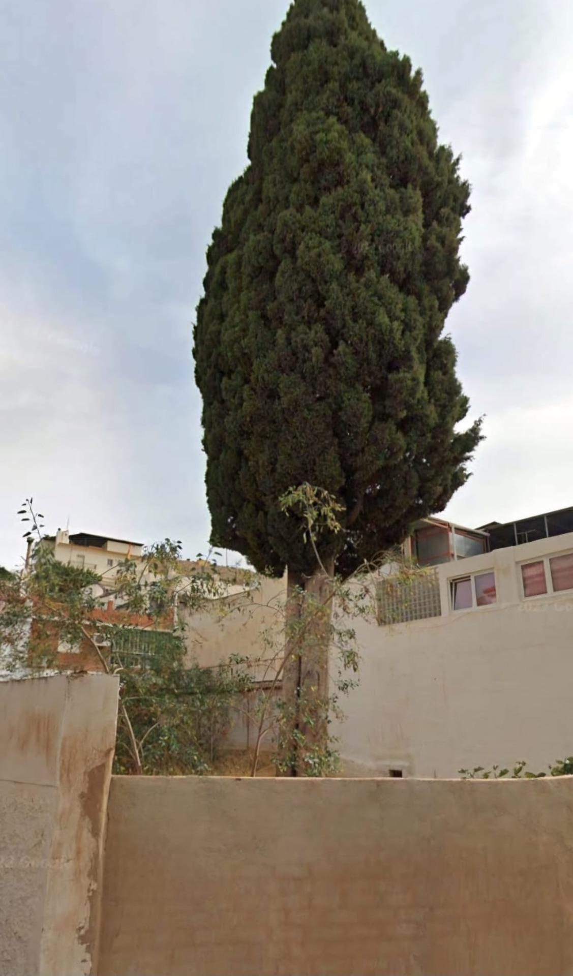 BENALMADENA SUELO URBANO CON PROYECTO PARA 12 VIVIENDAS, 16 GARAJES Y 16 TRASTEROS. — Foto 6