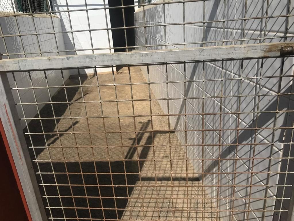 Fabulosa finca / núcleo zoológico a 5 minutos de zona de servicios — Foto 7