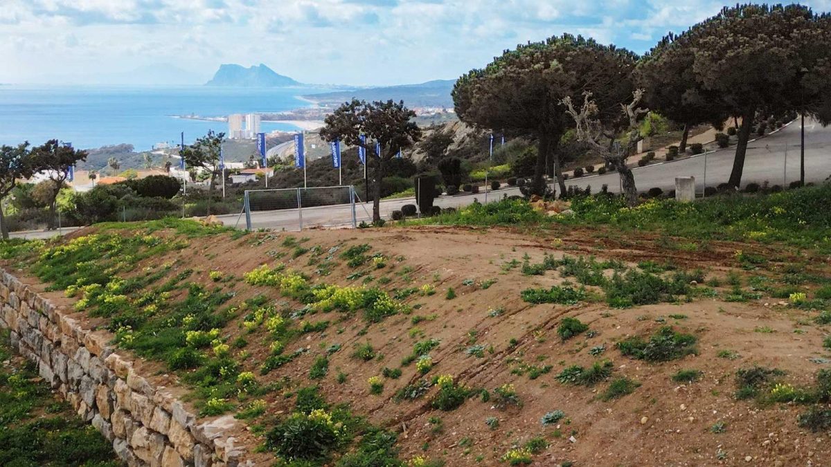 PARCELA CON PROYECTO Y LICENCIA DE OBRA INCLUIDA — Foto 3