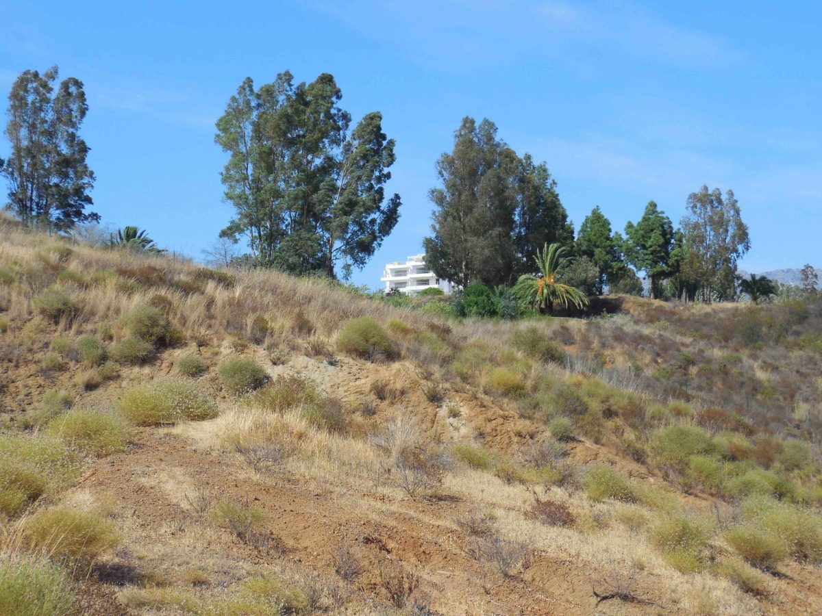 MARAVILLOSA VILLA DE LUJO EN LA CALA GOLF — Foto 20
